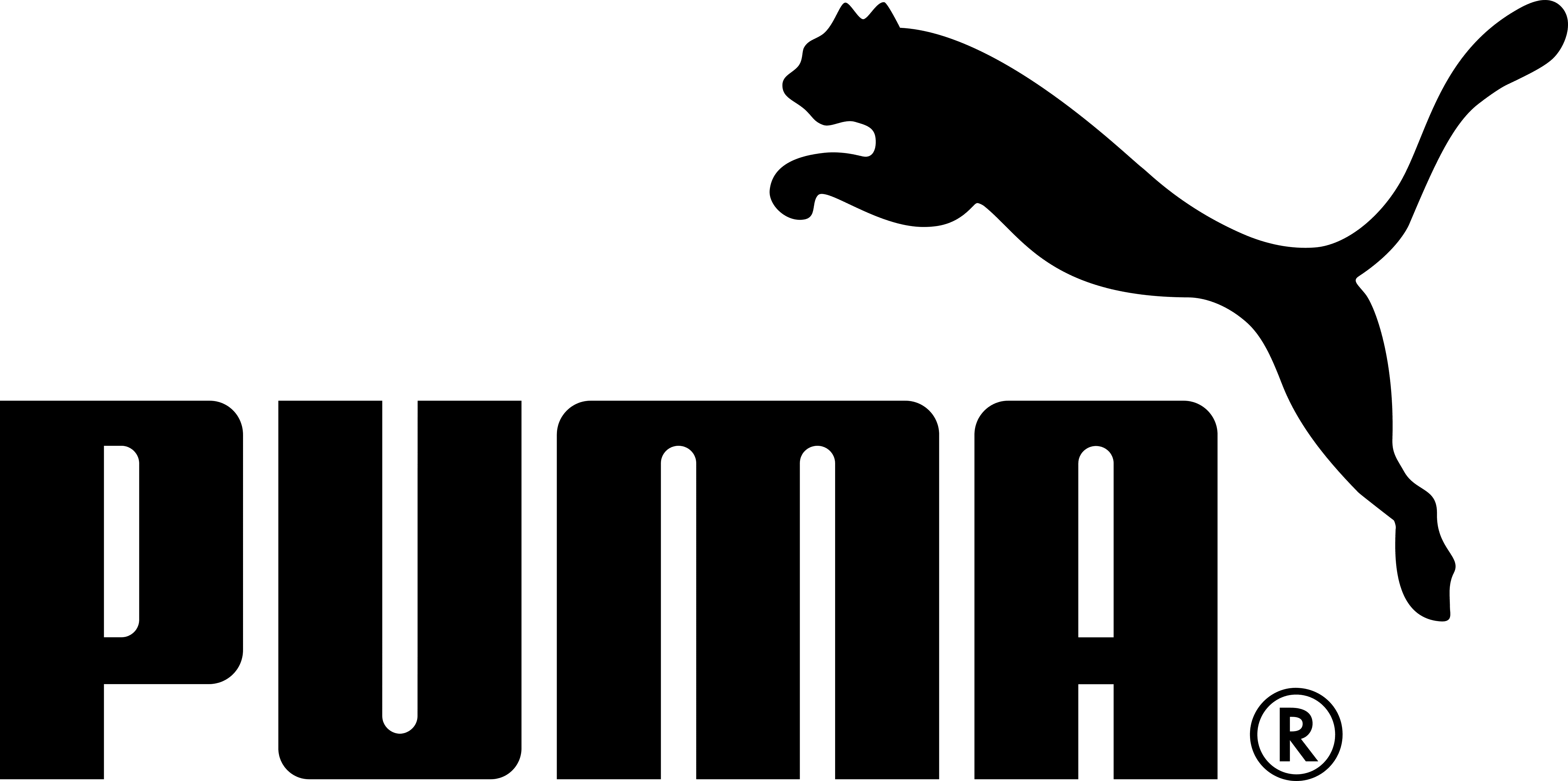 Puma Icon